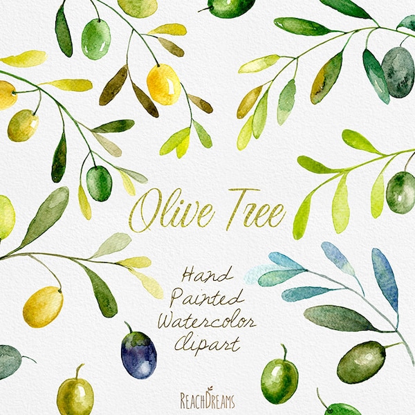 Olive Watercolor Clipart. Hand painting olive art, DIY invites, Wedding Invitations, Rustic, Instant download