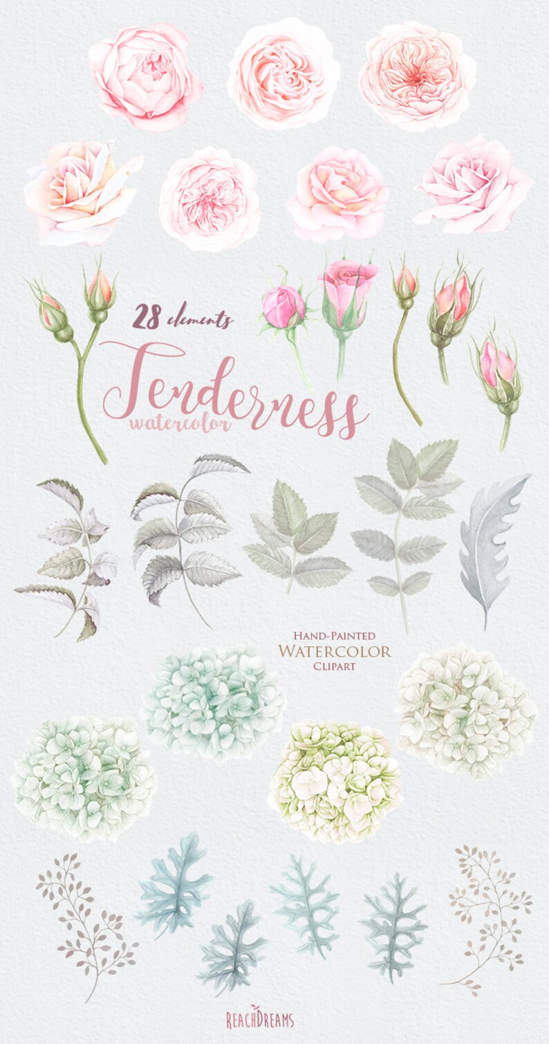 Floral Watercolor Elements, Roses, Hydrangeas, Bohemian Boho Flowers. Hand Painted Wedding Clipart. Bridal, Suite, Digital png, greeting image 2