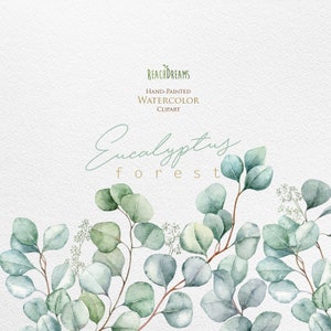 Eucalyptus. Watercolor Floral Clipart. Individual Elements. - Etsy