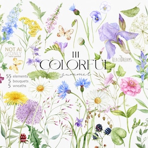 Clipart van wilde bloemen, PNG van wilde bloemen, aquarel zomerbloemen, kleurrijke boeketten, clipart van bloemenlijsten, aquarel bloemenelementen PNG