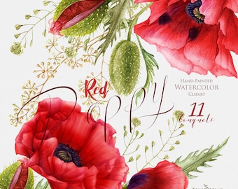 Watercolor Red Poppy, Handpainted bouquets, poppies flowers, wedding invitations, boho, floral frame clipart, greeting card, diy clip art