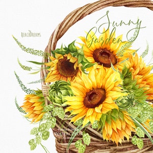 Sunflowers Watercolor Flower clipart, Hand painted, DIY Clip Art, Summer Herb, Bohemian Boho, floral invitation, greeting card, PNG files image 4