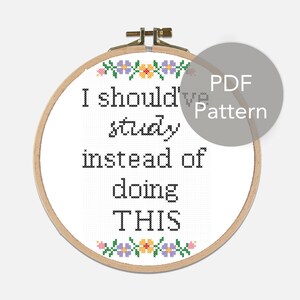 Op de afbeelding: Een borduurpatroon met een hoepel met een witte achtergrond en zwarte tekst die "I should've studied instead of doing THIS" luidt. De tekst wordt omringd door een rand van kleurrijke bloemen.