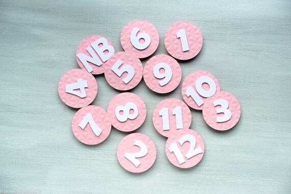 Baby Girl Monthly Photo Banner for First Birthday Party, Light pink birthday party decorations Il_570xn