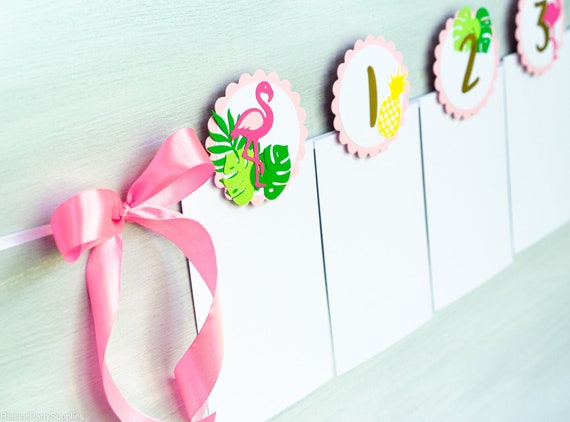 Flamingo 12 Month Photo Banner, Baby Girl First Tropical Birthday monthly board Il_570xn