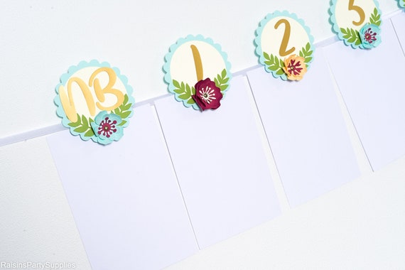Baby girl first birthday photo banner with flowers for monthly milestone photos, First year photo banner for garden party decorations Il_570xn