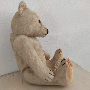 May include: A vintage teddy bear in a seated position, with a light beige fur. The bear has a dark brown nose and eyes, and black stitched claws. The bear's fur shows signs of wear, adding to its antique charm.