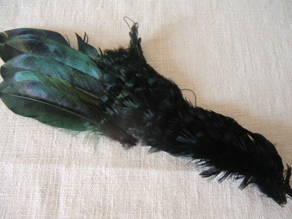 Vintage hat feathers dazzling peacock old hatmaker