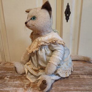 海外作家 ベルギー Lily Bear siam kitten Siamese Cats by Stark