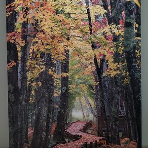 May include: A canvas print of a path through a forest in autumn. The trees are mostly bare, but some have yellow and red leaves. The path is covered in fallen leaves. The print is ready to hang.