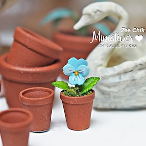 May include: A miniature blue and yellow pansy flower in a terracotta pot. The pot is surrounded by other terracotta pots of various sizes. The background features a white swan sculpture and the text "Zee Chik Miniatures" with a heart symbol.