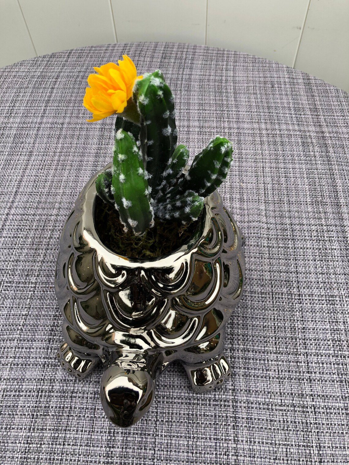 Faux Cactus Arrangement. Artificial Green Cactus With White Etsy