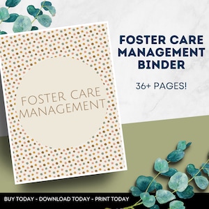 BEST SELLER Foster Care Binder / Adoption Organization + Management Binder . 8.5 x 11 in . Printable . Digital Download Rainbow