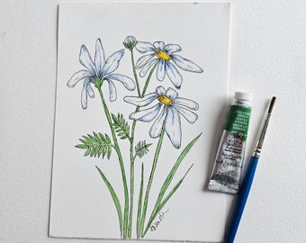 Daisies, Daisy Painting, Watercolor Daisies, Original Art, Unframed Art, Wildflowers Flowers, Whimsical Art, Amy Nemeth, Nova Scotia Artist