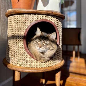 Boho Cane Cat House