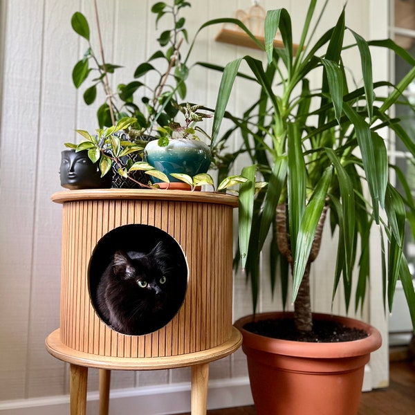 MCM Cat House Table