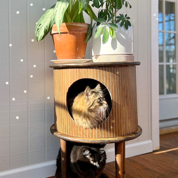MCM Cat House Table