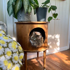 MCM Cat House Table