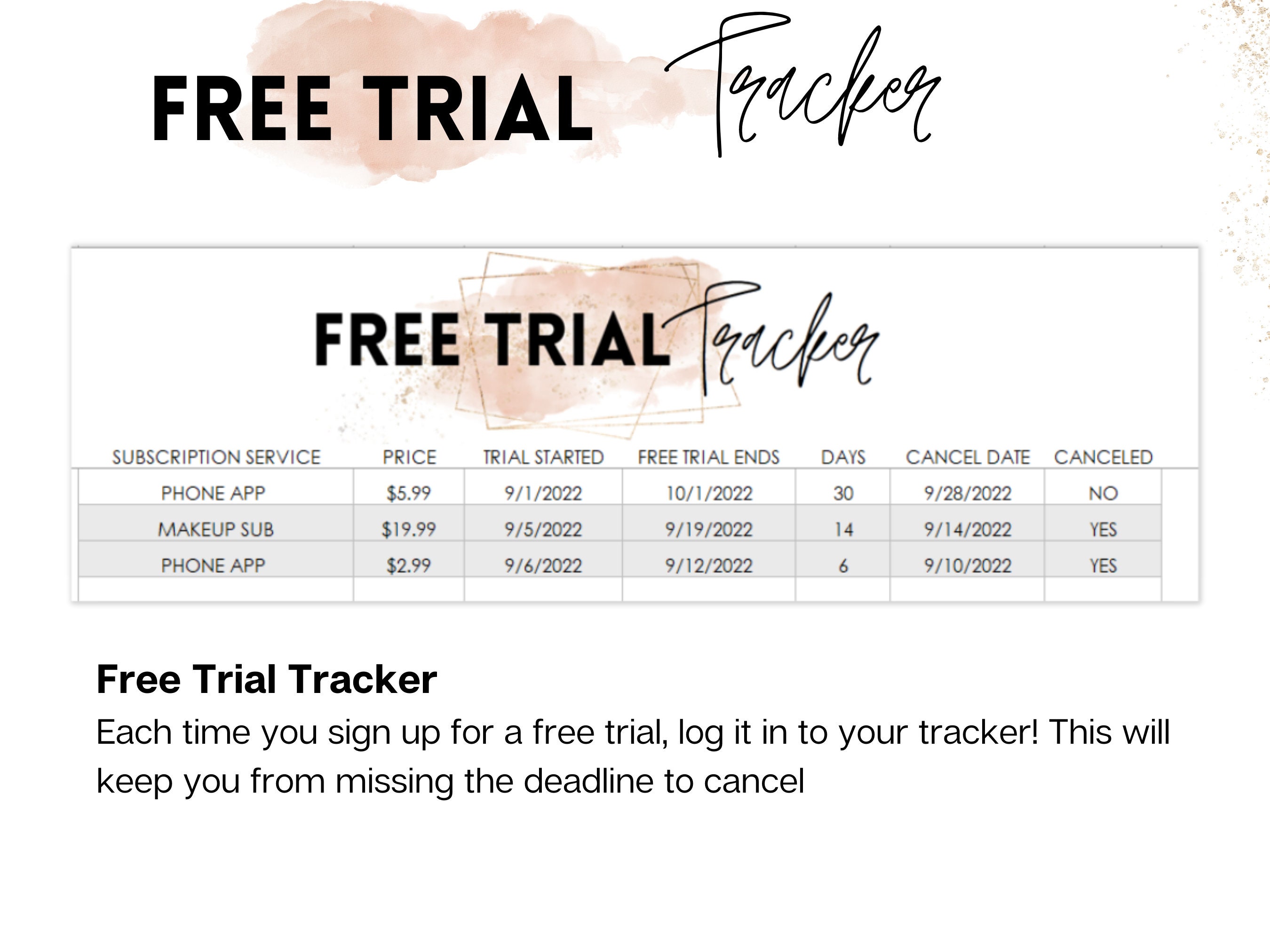Subscription & Expense Tracker: Excel Template (digital) - Etsy