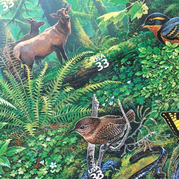 Pacific Coast Rain Forest Unused Postage Stamps
