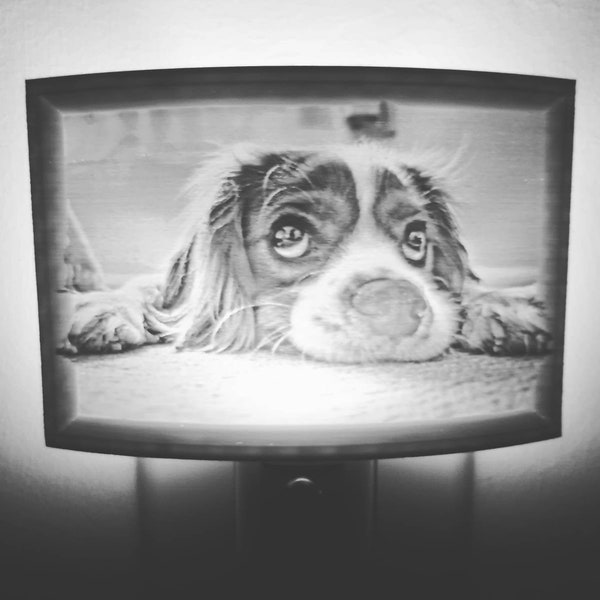 Pet Lithophane Nightlight | We Use YOUR Picture | Pet Nightlight | Pets, People or Places | 3D Print Lithophane | Pet Memorial Gift Keepsake