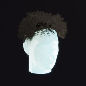 May include: A 3D model of a person's head with short, curly, dark brown hair.