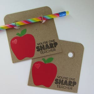 Teacher Appreciation Pencil Tag/Teacher Thank You Gift/Pencil Holder