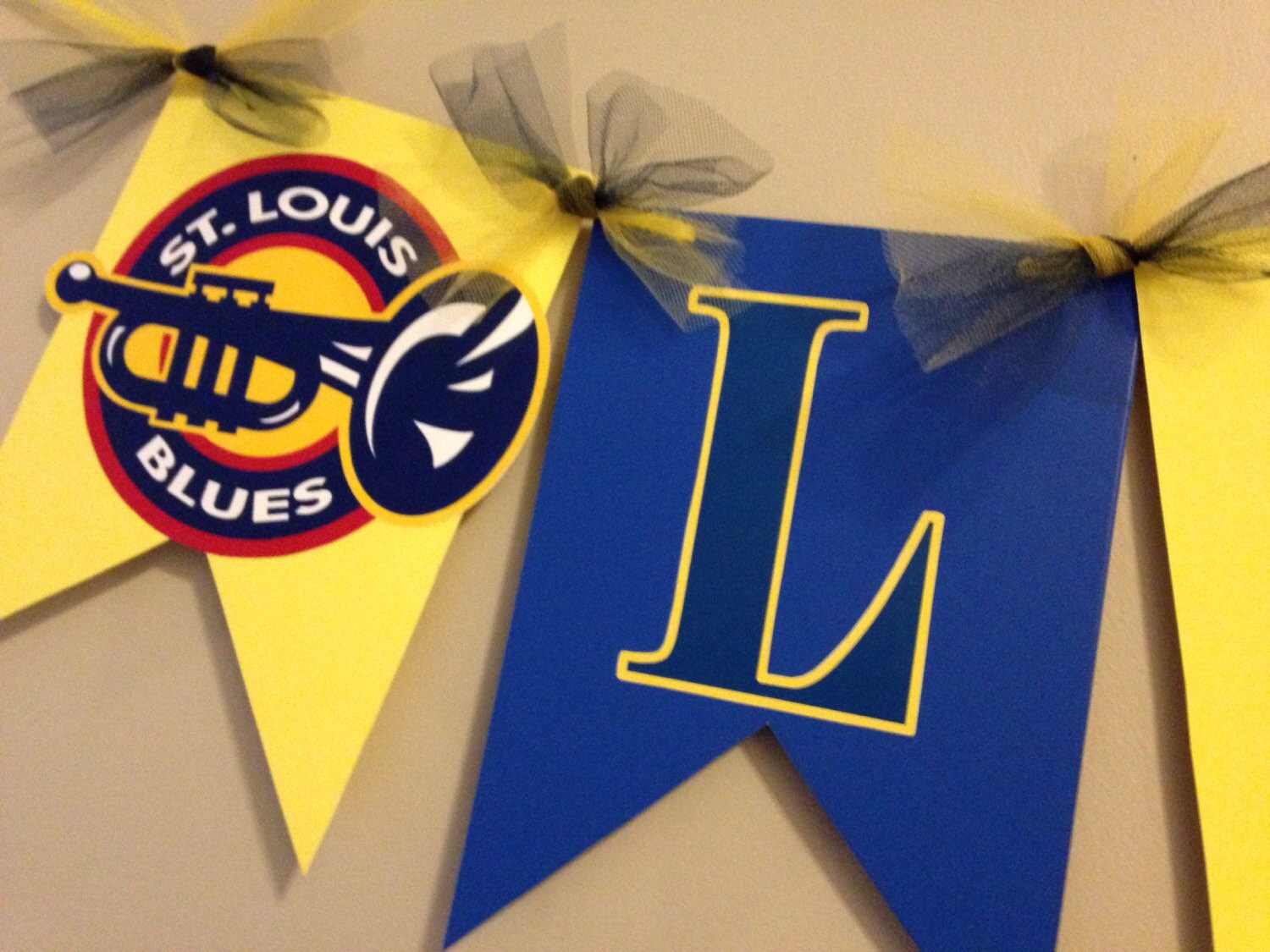 St. Louis Blues Banner LGB Banner St. Louis Hockey Banner Etsy
