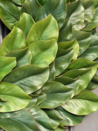 Decorazioni Festive 6 Spray Magnolia Natalizia Artificiale - Fiori Verdi Con Bordatura Oro Per Decorazioni Ghirlanda Natale Magnolia