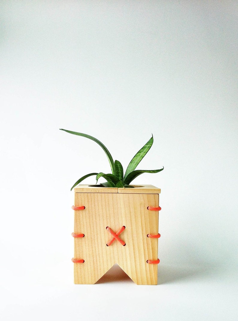CINCH Small Spruce Wood Planter Box With Orange Paracord Etsy