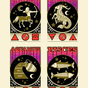 zodiac tee astrology star sign t shirt aries taurus gemini cancer leo virgo libra scorpio sagittarius capricorn aquarius pisces image 8