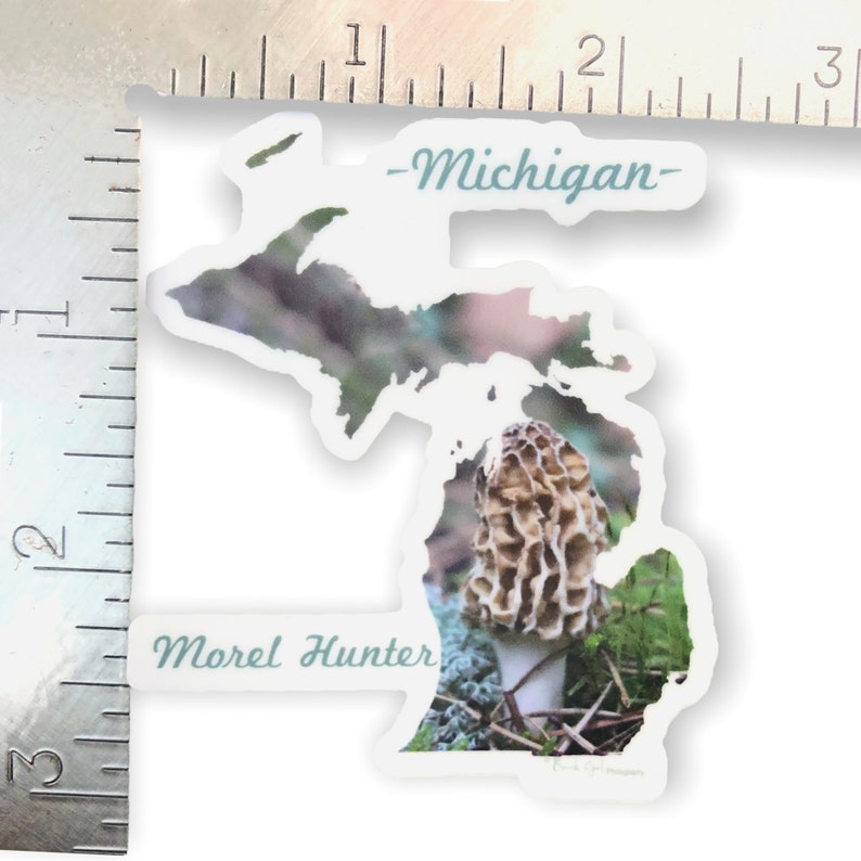 Michigan Morel Hunter Sticker Michigan Outline Photography Vinyl Durable Weatherproof 2.56W x 3H Diecut Mushrooms Michigander image 4