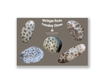 Michigan Rocks Petoskey Sticker Sheet • Michigan Outline • Vinyl Durable Weatherproof • 6"W x 4"H • Diecut • Rock hunter • Petoskey Stones
