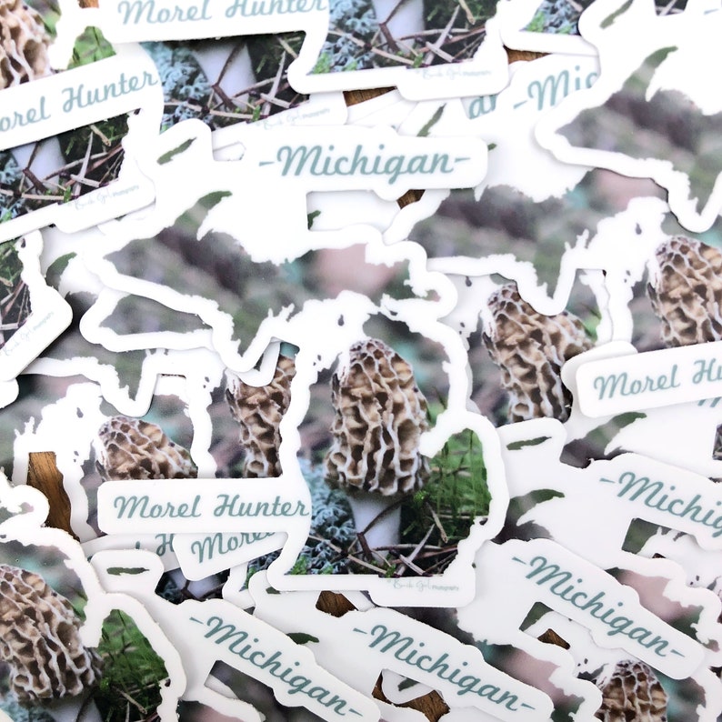 Michigan Morel Hunter Sticker Michigan Outline Photography Vinyl Durable Weatherproof 2.56W x 3H Diecut Mushrooms Michigander image 5