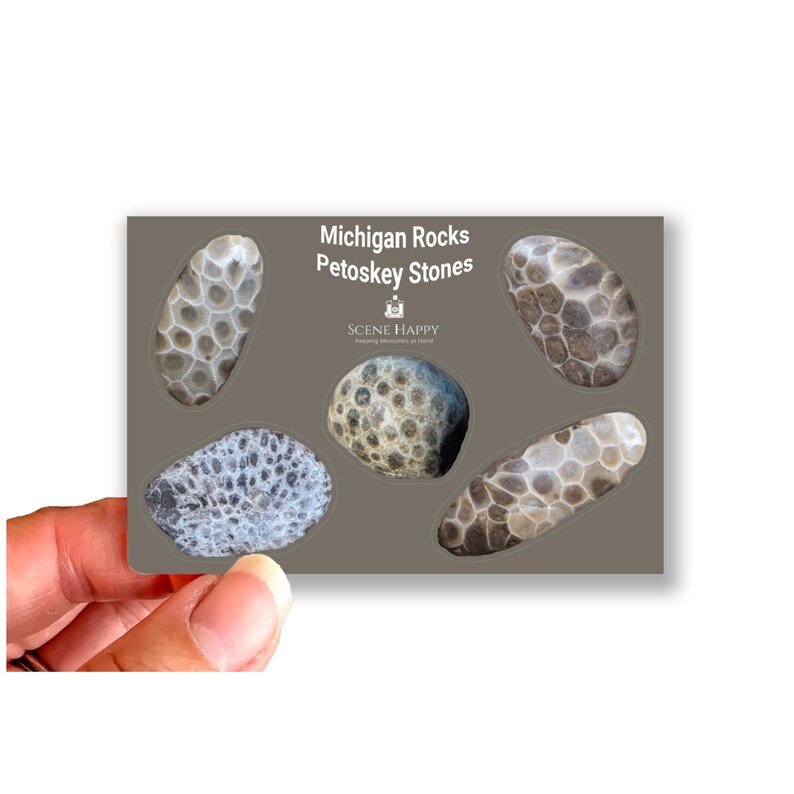 Pataski Rocks Michigan Rocks Petoskey Sticker Sheet • Michigan Outline • Vinyl ...
