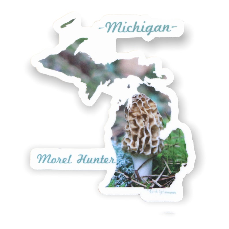 Michigan Morel Hunter Sticker Michigan Outline Photography Vinyl Durable Weatherproof 2.56W x 3H Diecut Mushrooms Michigander image 2