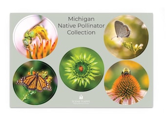 Michigan Native Pollinator Collection – Premium Waterproof Sticker Sheet 4x6 Bees, Butterflies and Ladybug art
