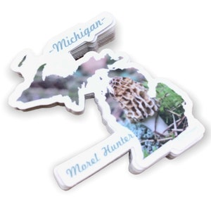 Michigan Morel Hunter Sticker Michigan Outline Photography Vinyl Durable Weatherproof 2.56W x 3H Diecut Mushrooms Michigander image 3