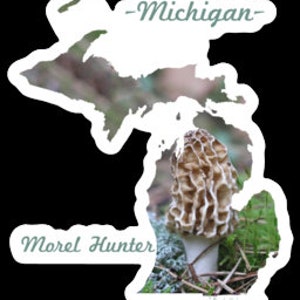 Michigan Morel Hunter Sticker Michigan Outline Photography Vinyl Durable Weatherproof 2.56W x 3H Diecut Mushrooms Michigander image 6