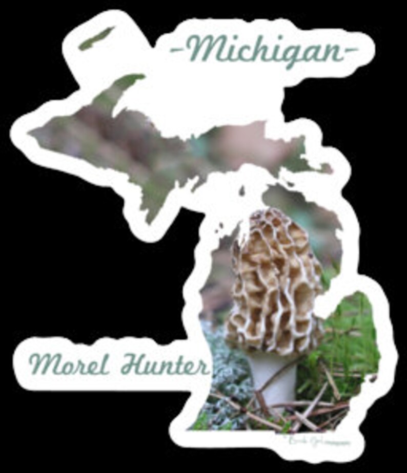 Michigan Morel Hunter Sticker Michigan Outline Photography Vinyl Durable Weatherproof 2.56W x 3H Diecut Mushrooms Michigander image 6