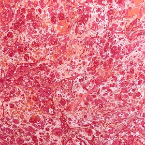 Hand Marbled Paper 19x24 inches (#54)
