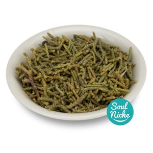 May include: A white ceramic bowl filled with dried green juniper berries. The berries are long and thin, and they are arranged in a random pattern. The bowl is sitting on a white background. The text "Soul Niche" is visible in the lower right corner of the image.