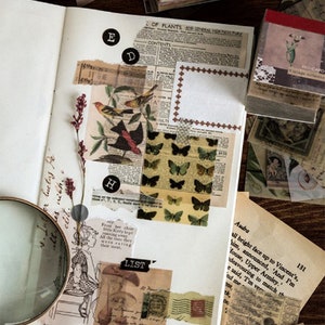 May include: An open scrapbook page with various vintage ephemera. Includes botanical illustrations, butterfly stickers, newspaper clippings, and a magnifying glass. The page is decorated with dried flowers and small paper stacks.