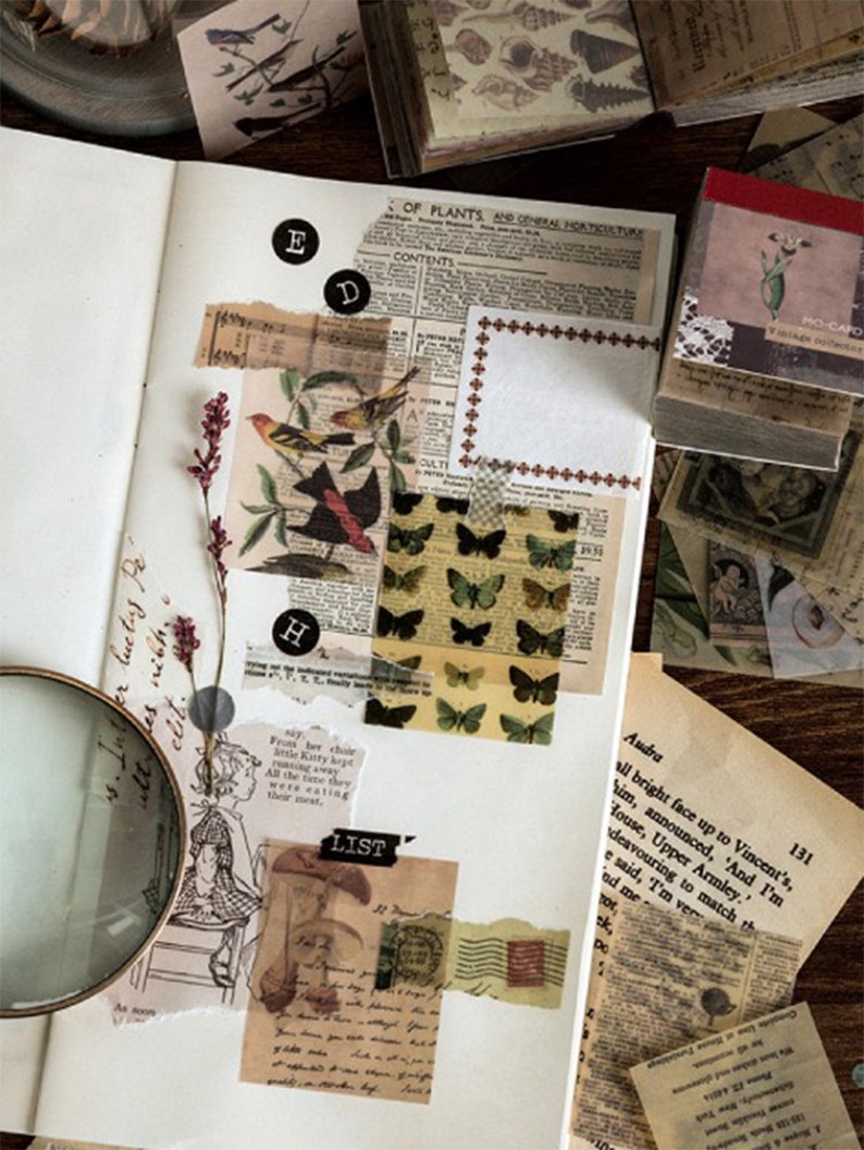 May include: An open scrapbook page with various vintage ephemera. Includes botanical illustrations, butterfly stickers, newspaper clippings, and a magnifying glass. The page is decorated with dried flowers and small paper stacks.