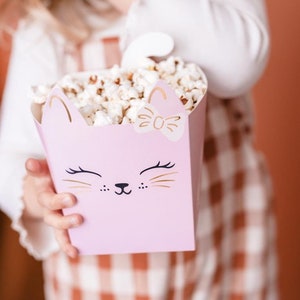 Pink Kitty Cat Treat Boxes 3ct - Cat Party Supplies, Party Favor Boxes, Purrfect Party, Kitten Birthday Decorations, Pink Kitten Baby Shower