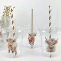 Highland Cow Party Cups - Cow Party Supplies, Highland Cow Baby Shower, Farm Birthday Decorations, Cow Treat Cups, Barnyard Party Decor