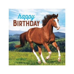 Servietten zum Pferdegeburtstag 16ct - Western Party Servietten Barnyard Geburtstag Servietten Pony Baby Shower Pferderennen Party Zubehör Reiter Thema