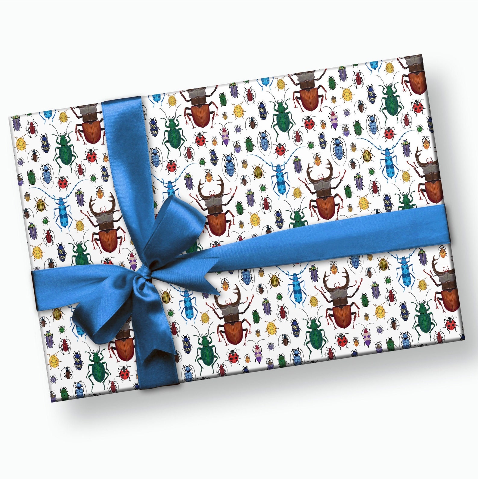 Insect Gift Wrap Bug Wrapping Paper Garden Gift Wrap Bug | Etsy
