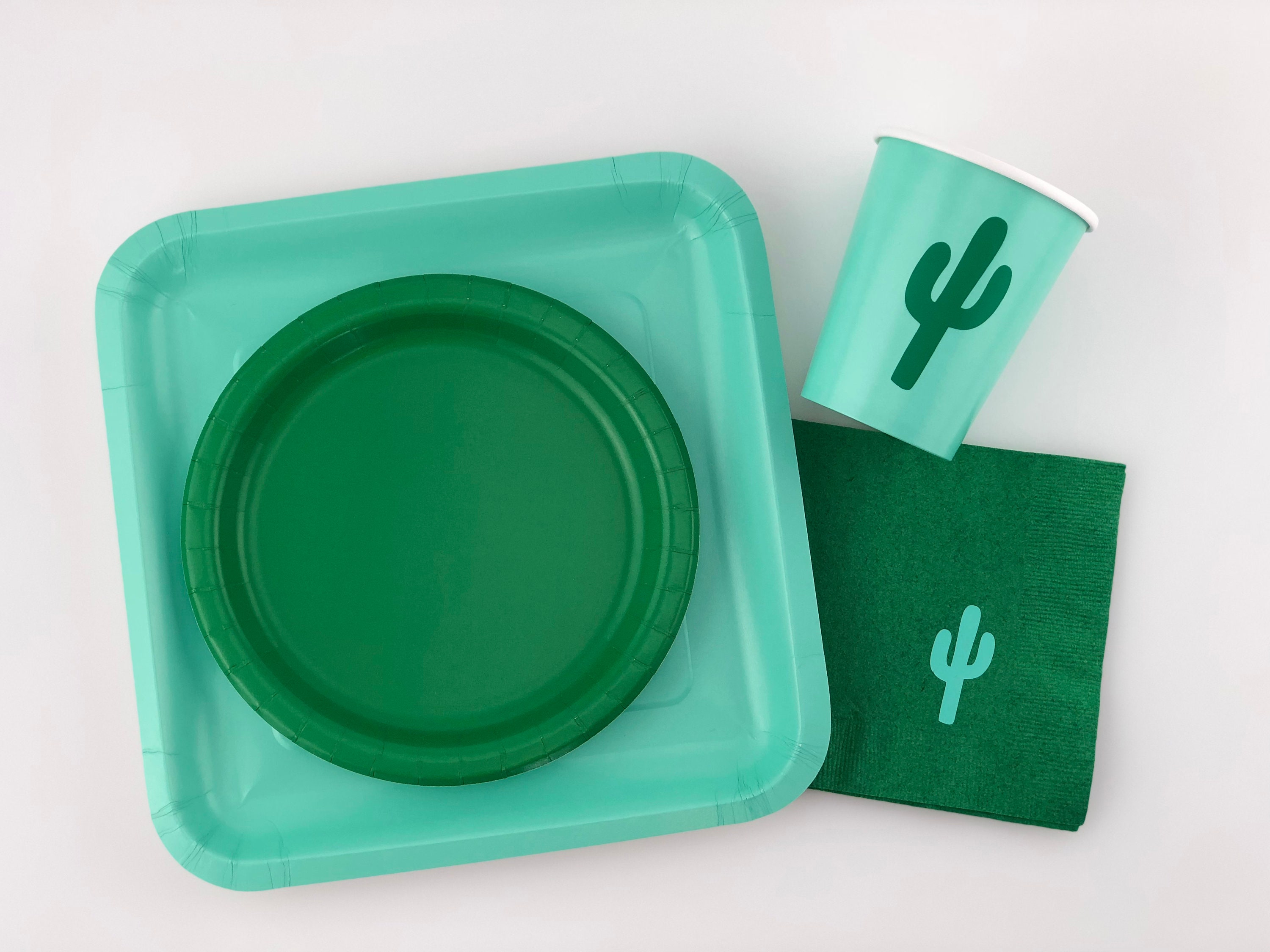 Cactus Party Set Cactus Party Supplies Fiesta Party Cactus Etsy