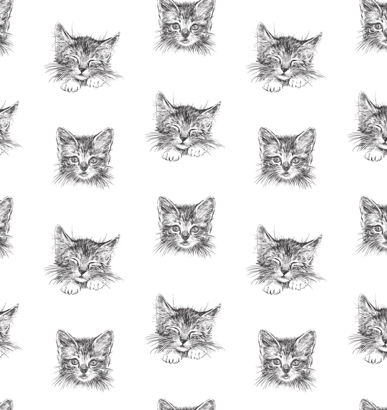 Cat Wrapping Paper Cat Gift Wrap Kitty Cat Party Supplies Etsy